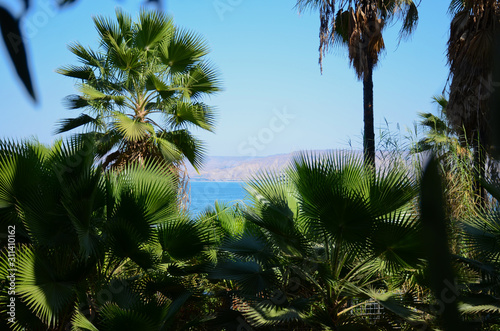 Landscape of the Sea of Galilee - Sea of Galilee Fototapet