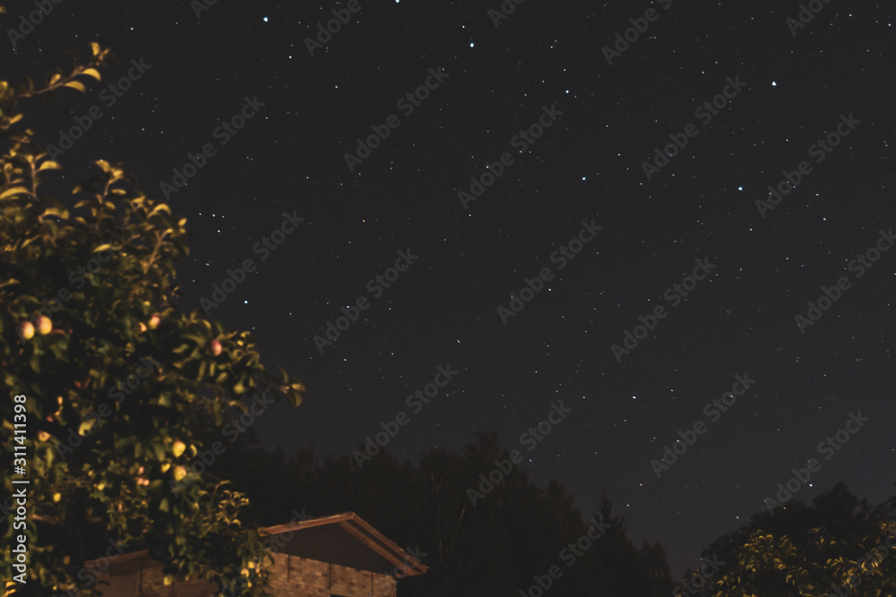 Fototapeta premium Stars in summert night sky