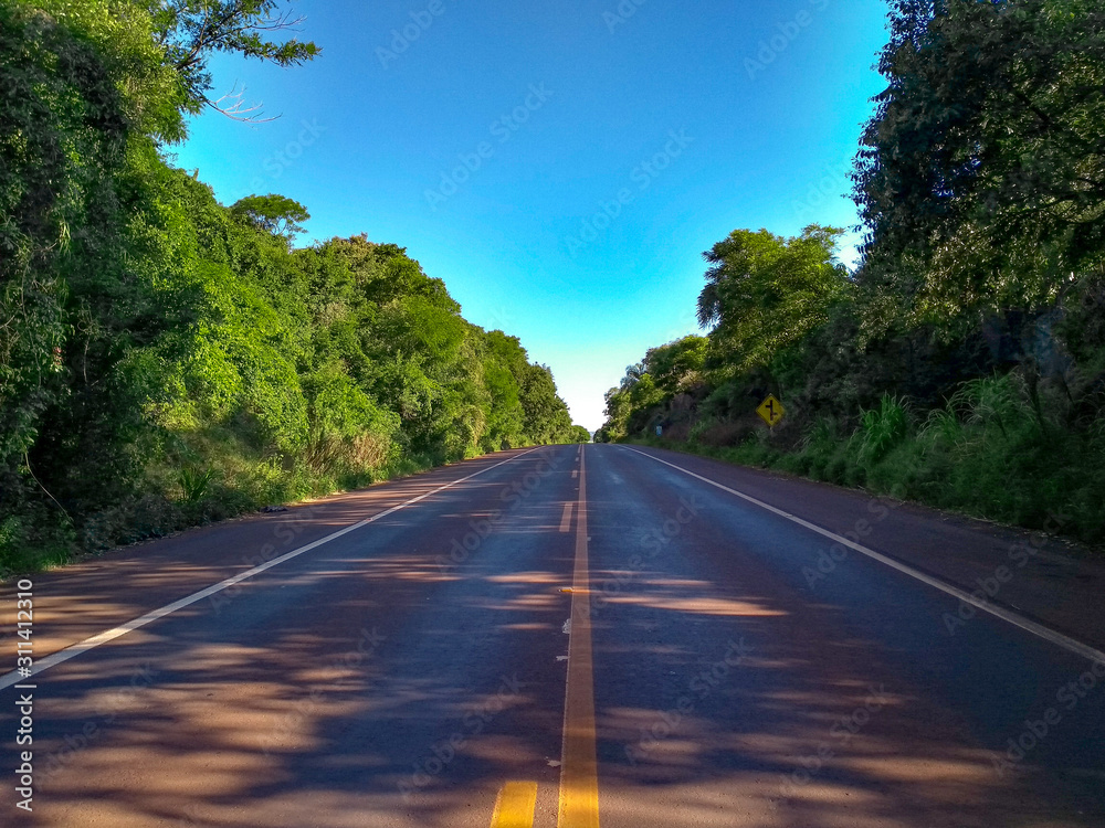 Fototapeta premium road with trees