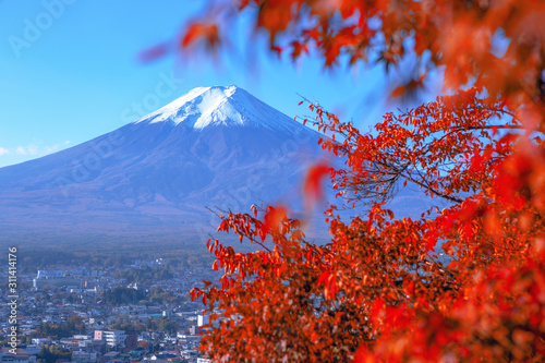 Background Fiji volcano through red maples.