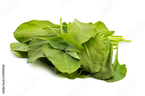 Close up of fresh green spinach isolated on white background