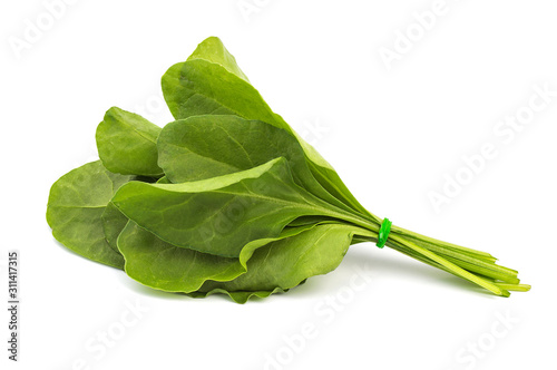 Close up of fresh green spinach isolated on white background photo