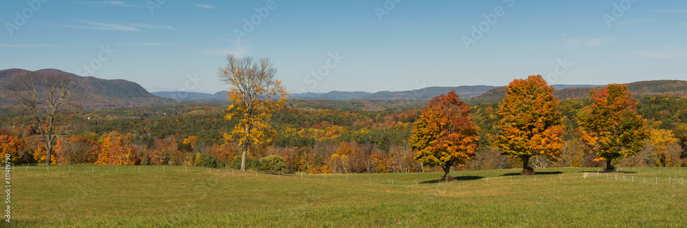 Panorama of autumn landscape with trees and blue sky