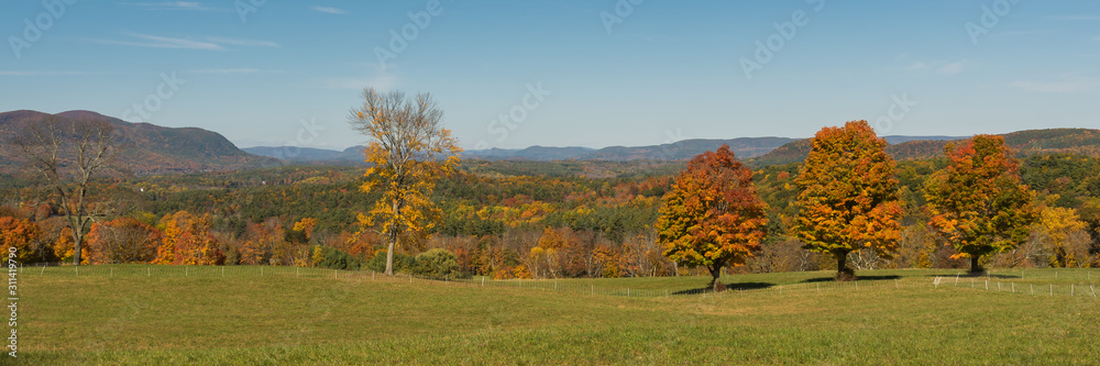 Panorama of autumn landscape with trees and blue sky Panorama of autumn landscape with trees and blue sky