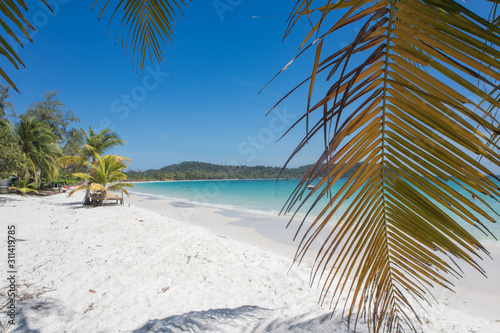 tropical beach with palm trees © korobka_dv