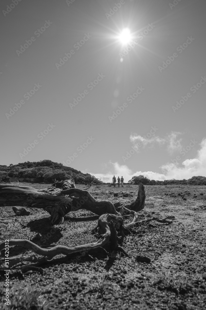 Fototapeta premium reunion island