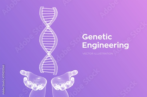 DNA sequence in hands. Wireframe DNA molecules structure mesh. DNA code editable template. Science and Technology concept. Vector illustration.