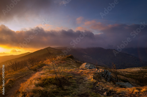 morning in the Bieszczady National Park