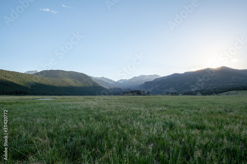 Meadow at Rocky Mountain National Park