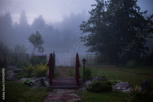 Foggy landscape. Landscape countryside design.