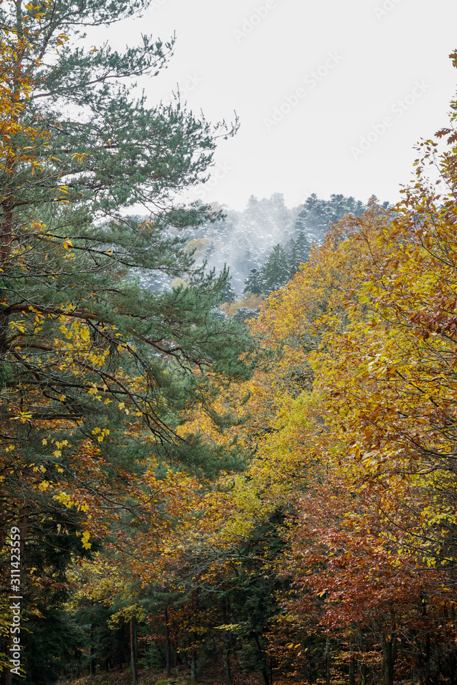 roads and mountains in Vosges, France roads and mountains in Vosges, France