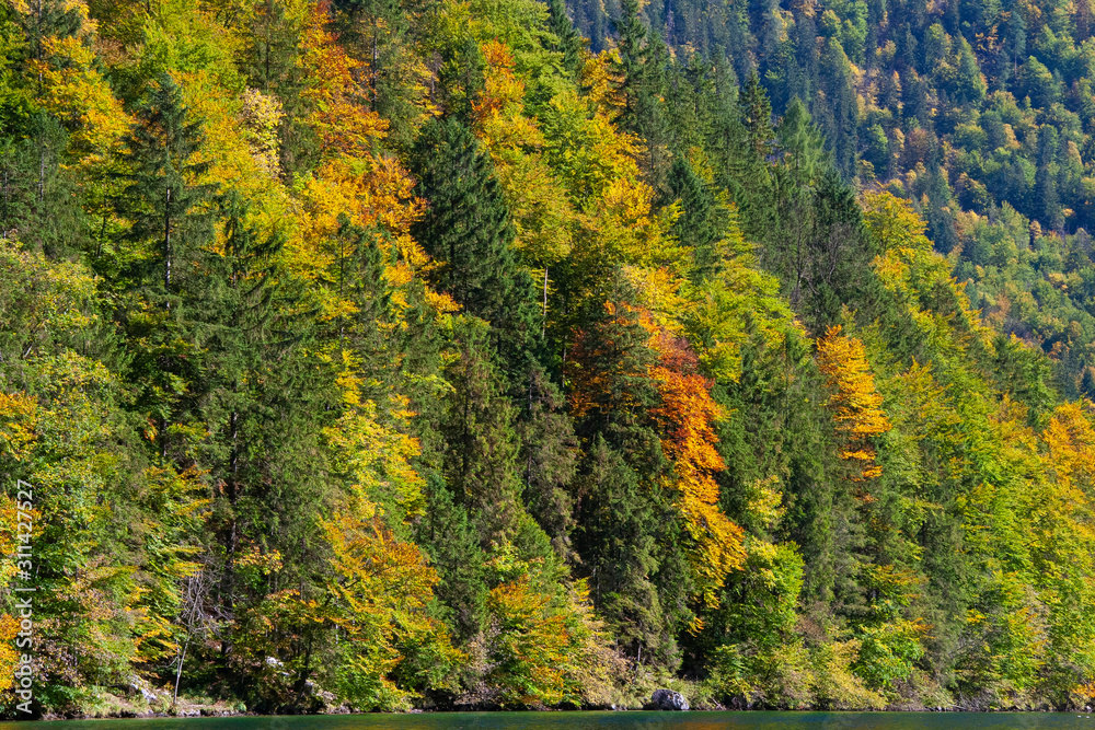 reflection of hills in koenigsee, autumn time in Bavaria, Germanhy reflection of hills in koenigsee, autumn time in Bavaria, Germanhy