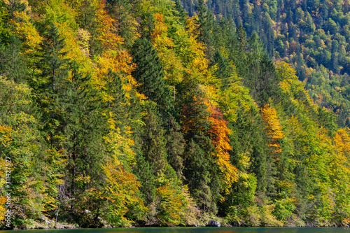 reflection of hills in koenigsee, autumn time in Bavaria, Germanhy