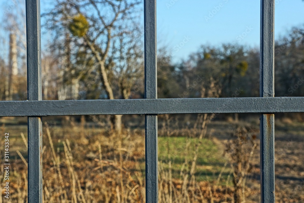 gray metal texture of iron bars in the fence on the street gray metal texture of iron bars in the fence on the street