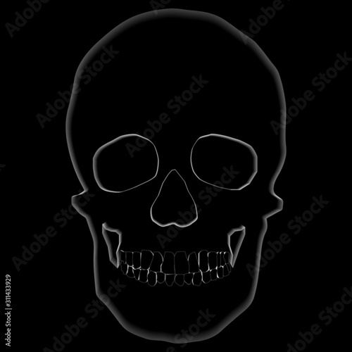 human remains of the skeleton of the skull