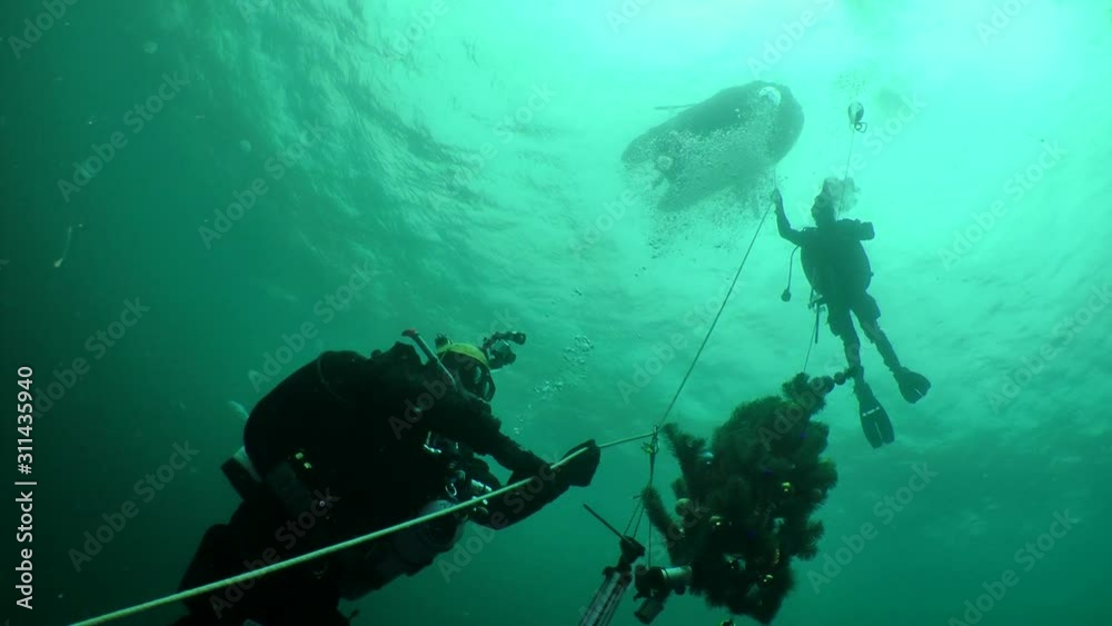 Archaeological divers celebrate the New Year under water: divers with the New Year tree carry out decompression. Archaeological divers celebrate the New Year under water: divers with the New Year tree carry out decompression.