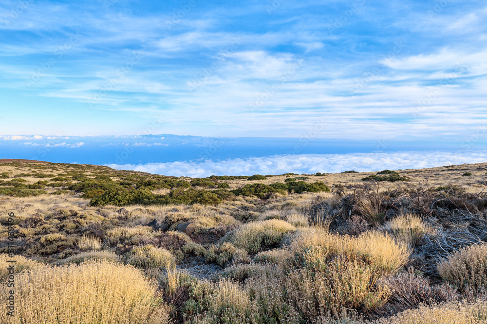 Panoramic view of the teide volcano Panoramic view of the teide volcano
