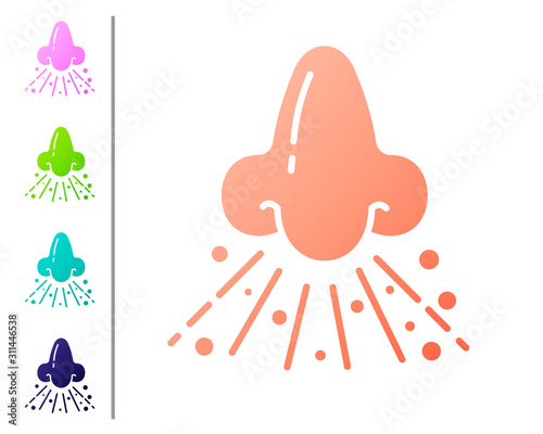 Coral Runny nose icon isolated on white background. Rhinitis symptoms, treatment. Nose and sneezing. Nasal diseases. Set color icons. Vector Illustration