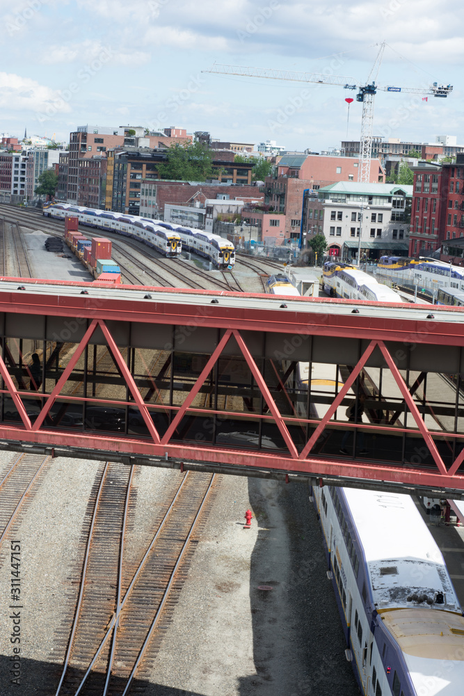 Fototapeta premium Tren 