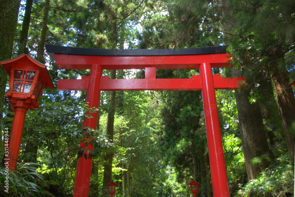 red japanese torii gate with lanterns in wooded area red japanese torii gate with lanterns in wooded area