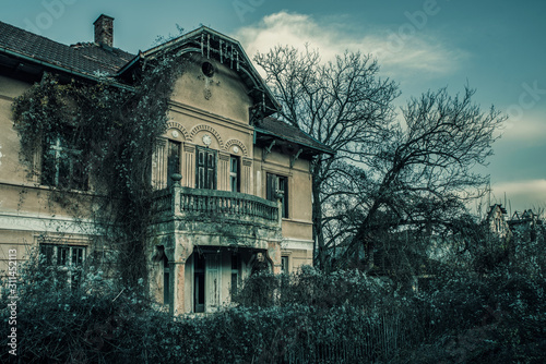 Old aristocratic house