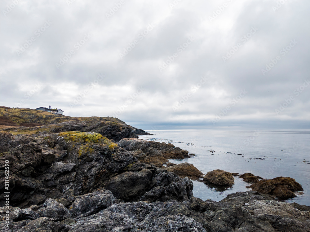 Grassy, rocky shoreline of San Juan Island, WA, on a cloudy, blue day