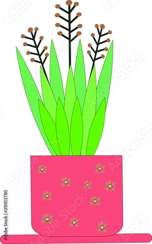 vector flower in a pot Sansevieria with twigs berries
