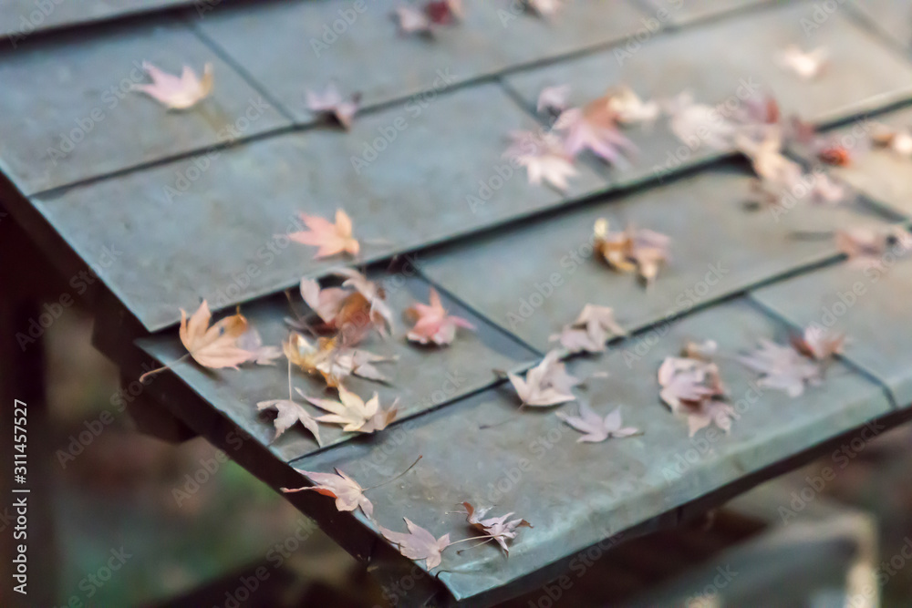 an old roof of a house with leaves on it an old roof of a house with leaves on it