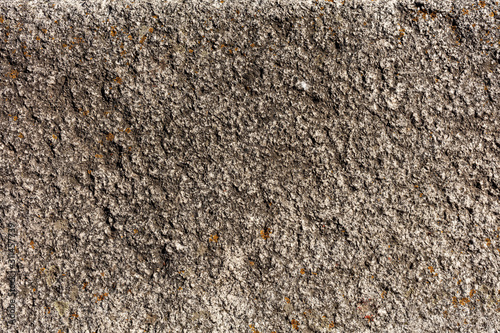 Wallpaper Mural Old granit suface with mold and rough texture Torontodigital.ca