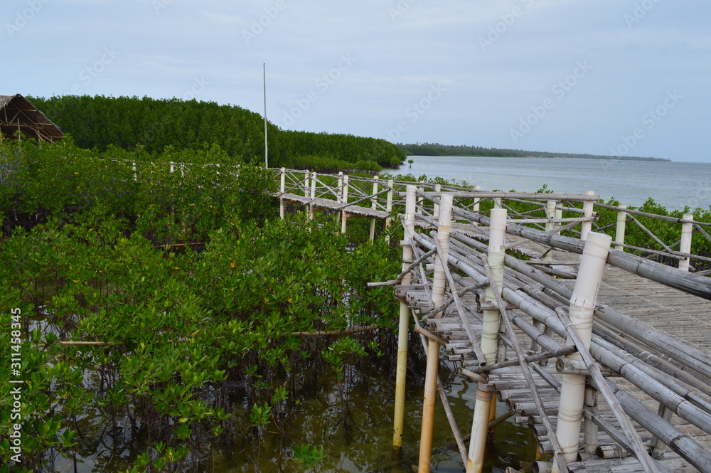 Board Walk/Elevated Wooden Walkway Through the Mangrove Forest on Bantayan Island in Cebu, Philippines. Camp Sawi boardwalk Board Walk/Elevated Wooden Walkway Through the Mangrove Forest on Bantayan Island in Cebu, Philippines. Camp Sawi boardwalk
