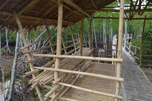 Board Walk/Elevated Wooden Walkway Through the Mangrove Forest on Bantayan Island in Cebu, Philippines. Camp Sawi boardwalk