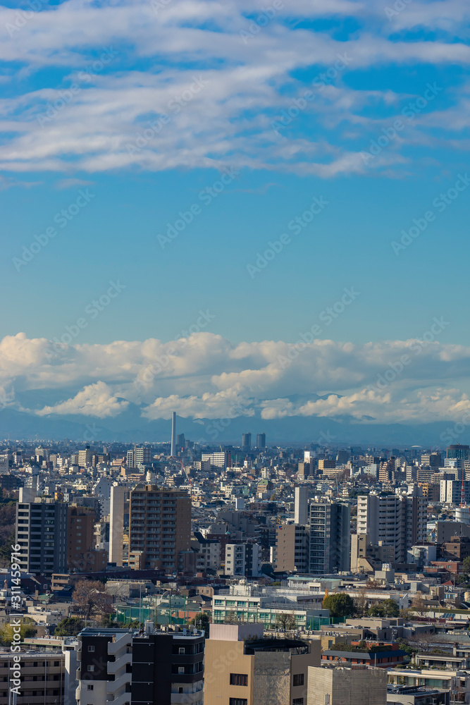 東京パノラマビュー