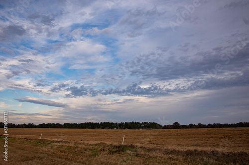 Cloudscape in open field
