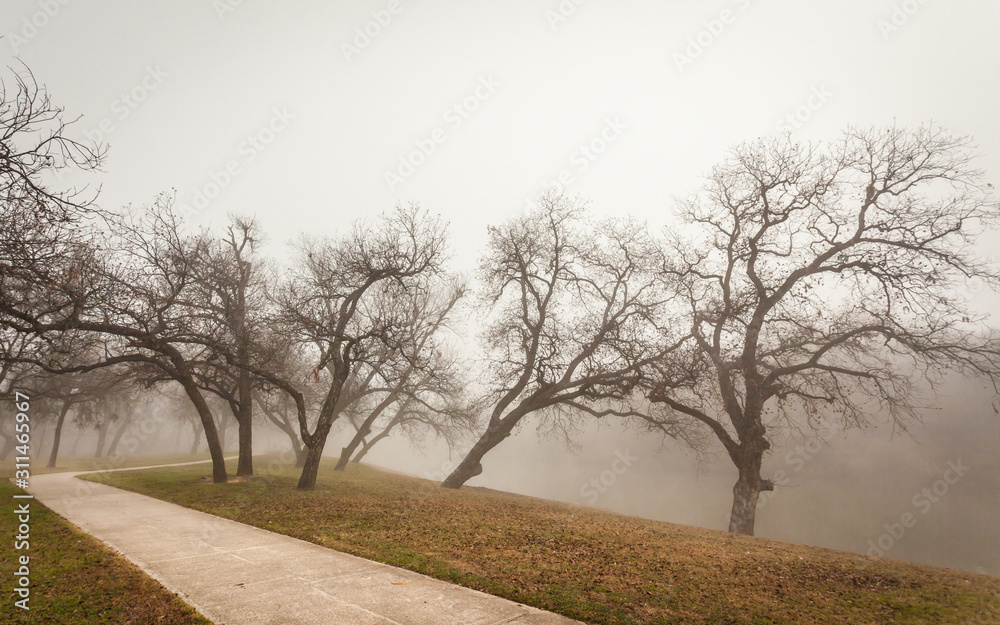 Obraz premium Brownwood Tx fog in the Riverside Park lake winter season