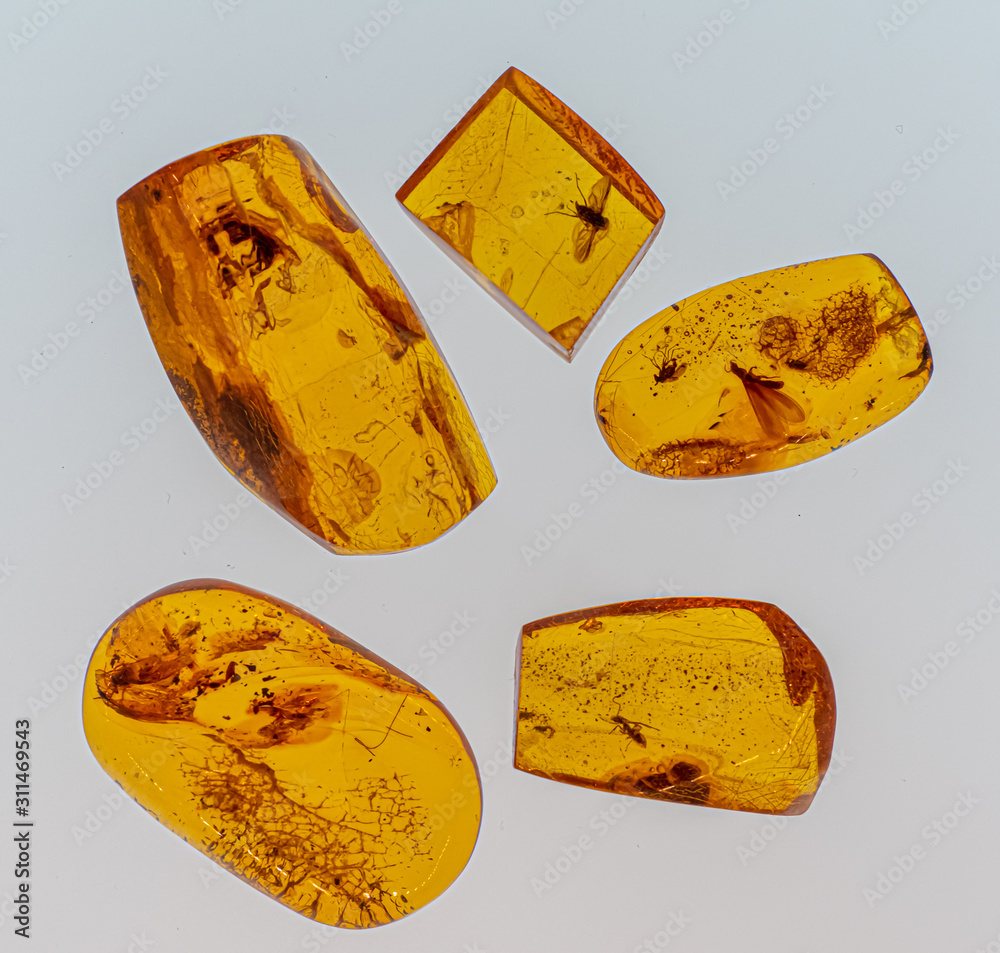 Fototapeta premium Inkluzje owadów w pomarańczowym bałtyckim bursztynie . Baltic amber with inclusions of mosquito, fly, ant isolated on white background
