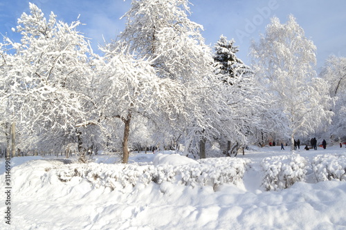 background of the dropped white fluffy snow on the branches of trees and shrubs the Park