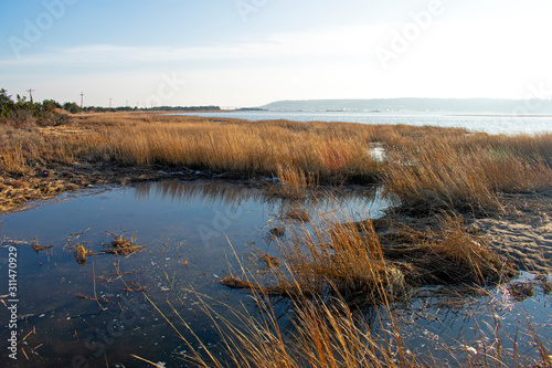 View of marshland at Sandy Hook Bay at the North side of Sandy Hook  New Jersey