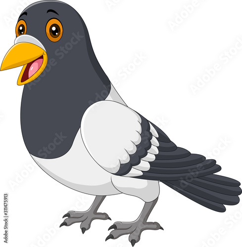 Cartoon funny pigeon isolated on white background