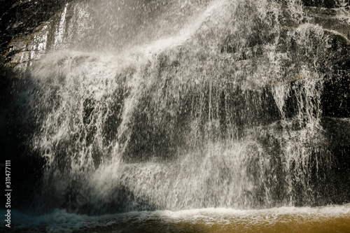 waterfall in the forest