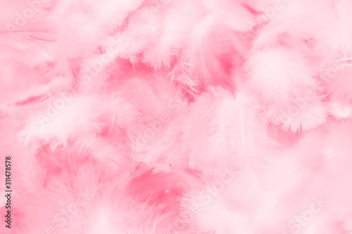 Beautiful abstract light pink feathers on white background,  white feather frame on pink texture pattern and pink background, love theme wallpaper and valentines day, white gradient