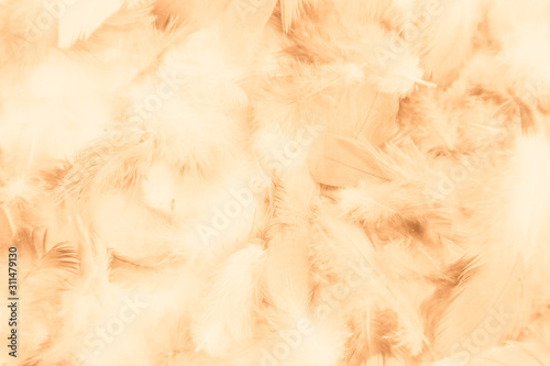 Beautiful abstract colorful yellow white and brown feathers on white background and soft white orange feather texture on white pattern