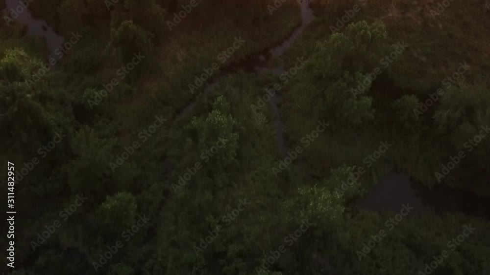 Scenic drone shot over forest, great intro piece Scenic drone shot over forest, great intro piece