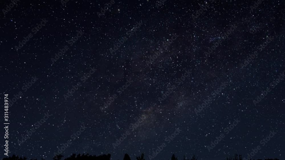 Tilt up From Night Forest to Twinkling Stars Tilt up From Night Forest to Twinkling Stars