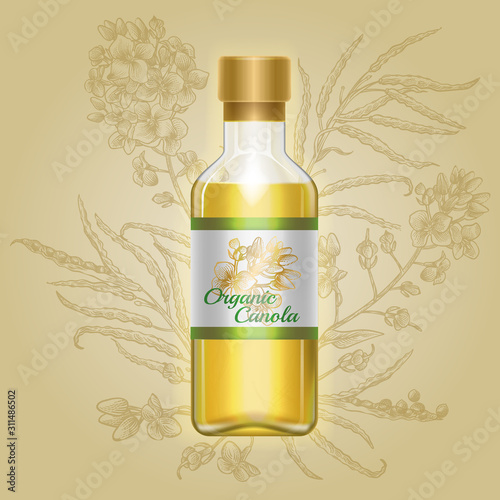 Organic canola, mustard oil in glass bottle with drawn flowers on label. Vector illustration of container with liquid cold rape oil on background of engraved rapeseed plant