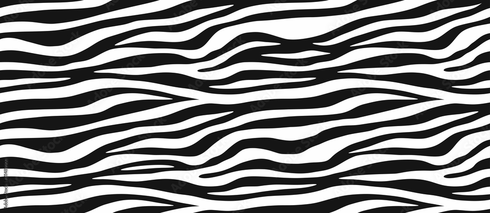 Zebra skin, stripes pattern. Animal print, black and white detailed and realistic texture. Monochrome seamless background. Vector illustration  - obrazy, fototapety, plakaty 