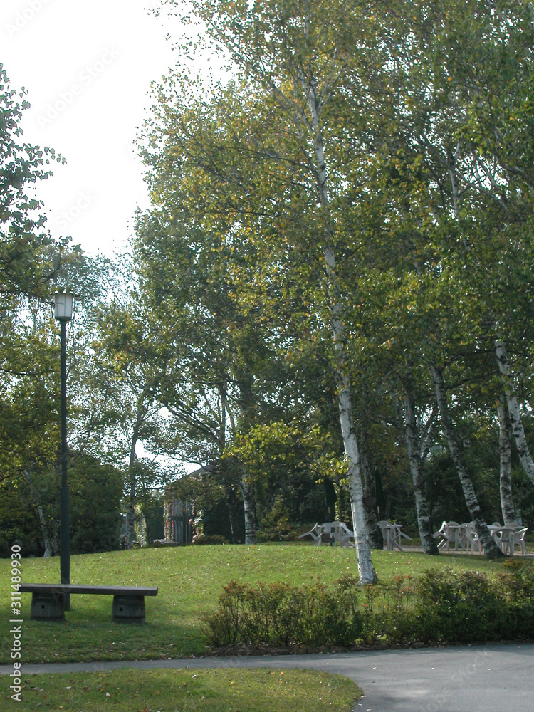 Obraz premium 避暑地