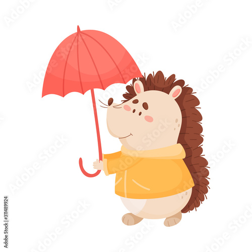 Smiling Hedgehog Character Holding Umbrella and Wearing Coat in Rainy Day Vector Illustration