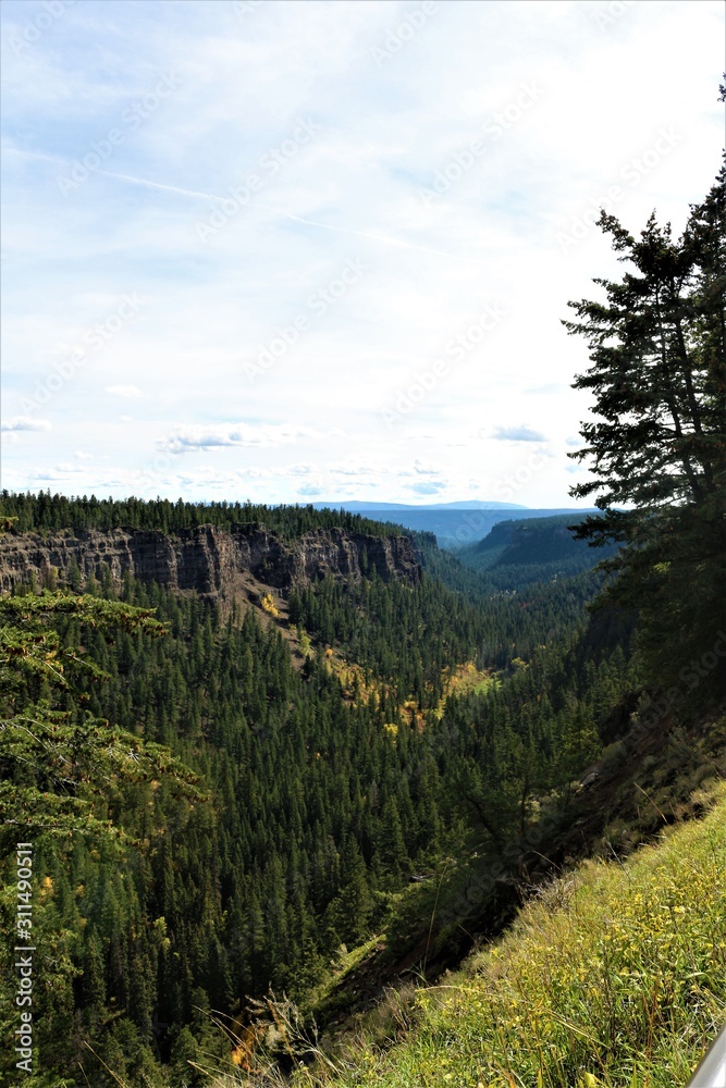 Fototapeta premium Looking down the Chasm Canyon near Clinton in Chasm Provincial Park