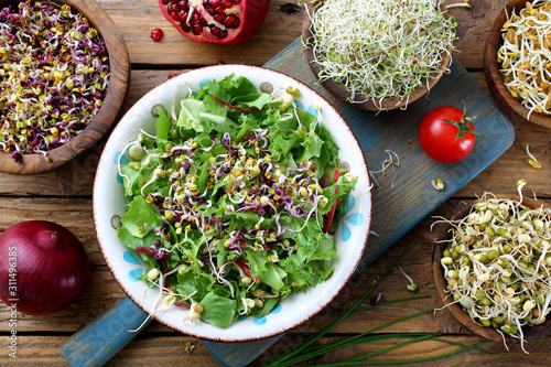 cibo vegetariano germi vari ,insalata e contorni su tavolo photo