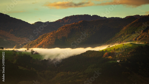 Lush green rolling hills in Basque country in early morning mist